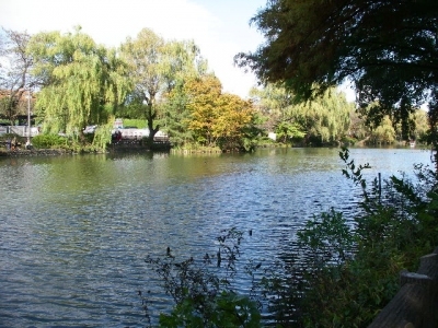 三宝寺池で名高い観光スポット・石神井公園 - 石神井公園は、のどかな池のある都会のオアシス