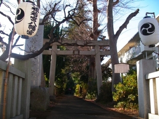 新年の初詣は近くの神社で