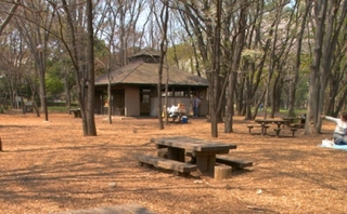 自然がいっぱい！　都会のオアシス・光が丘公園-練馬のおすすめニュース編集室