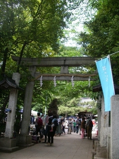 個性あるお祭りが開かれる石神井氷川神社-練馬のおすすめニュース編集室