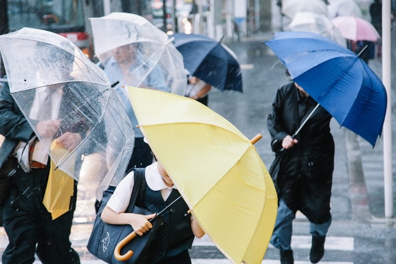 練馬区の台風対策:家まわりの備えと安全確保 - 練馬区の台風対策:家まわりの備えと安全確保 -