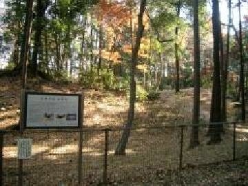 練馬区の石神井城址でタイムスリップ！中世の歴史ロマンと美しい自然を無料で満喫しよう - 