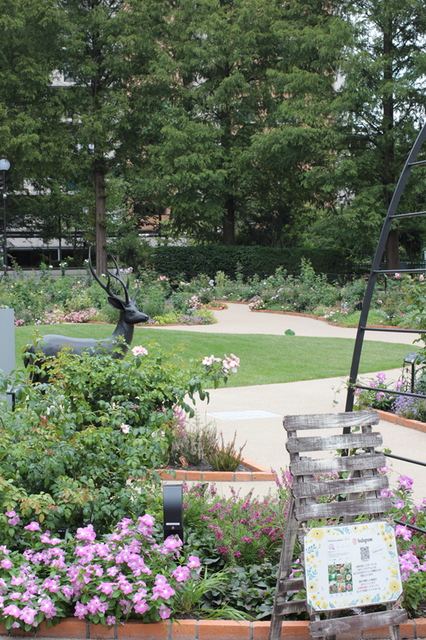 練馬区の四季の香ローズガーデンへ！バラの香りに包まれる癒しの世界、見どころを徹底解説