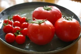 おいしい野菜は、直売所にある