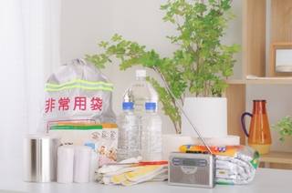 練馬区の地震保険:備えと補償の基本情報 練馬区の地震保険:備えと補償の基本情報